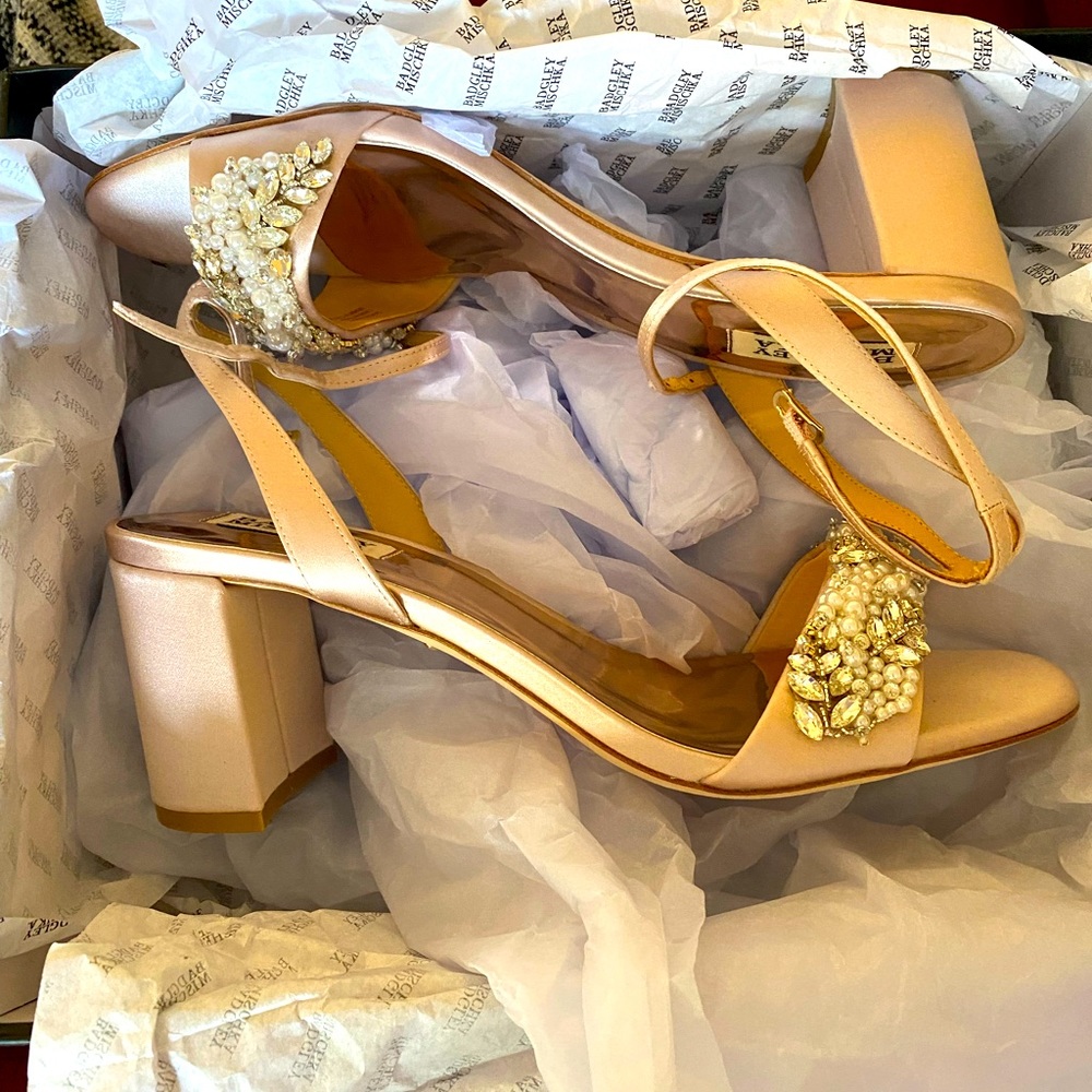 Badgley Mischka “Clara” blush, embellished heels